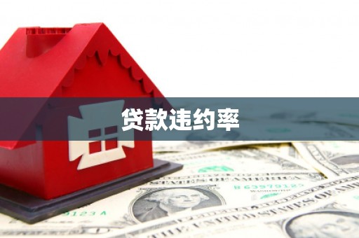赣县贷款违约率