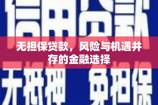 赣县无担保贷款，风险与机遇并存的金融选择