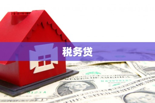 赣县税务贷