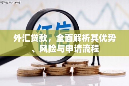 赣县外汇贷款，全面解析其优势、风险与申请流程