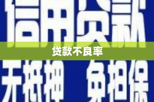 赣县贷款不良率