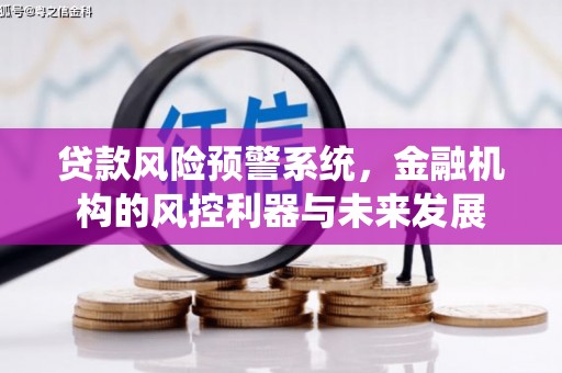 赣县贷款风险预警系统，金融机构的风控利器与未来发展