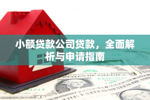 赣县小额贷款公司贷款，全面解析与申请指南