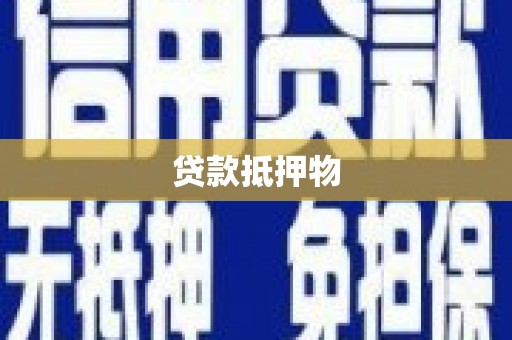 赣县贷款抵押物