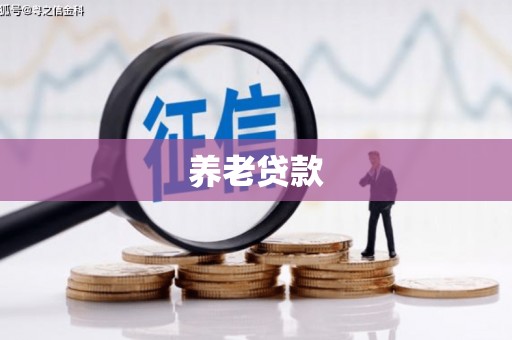 赣县养老贷款