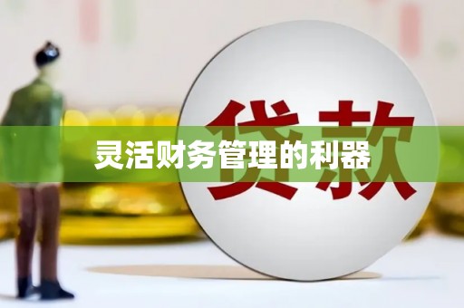 赣县灵活财务管理的利器