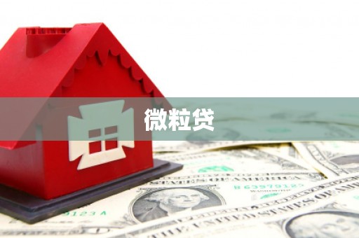 赣县微粒贷