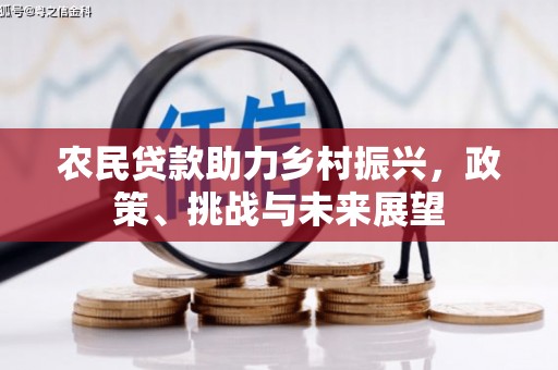 赣县农民贷款助力乡村振兴，政策、挑战与未来展望
