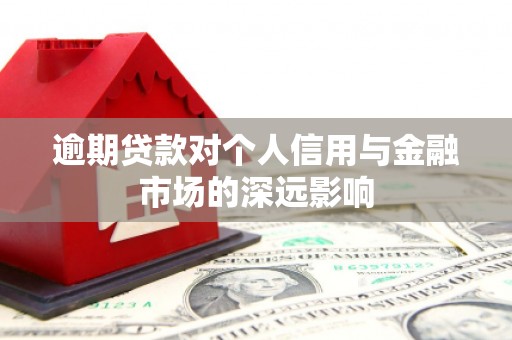 赣县逾期贷款对个人信用与金融市场的深远影响