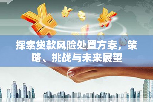赣县探索贷款风险处置方案，策略、挑战与未来展望