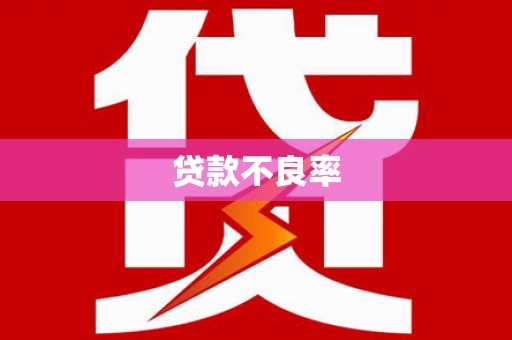 赣县贷款不良率