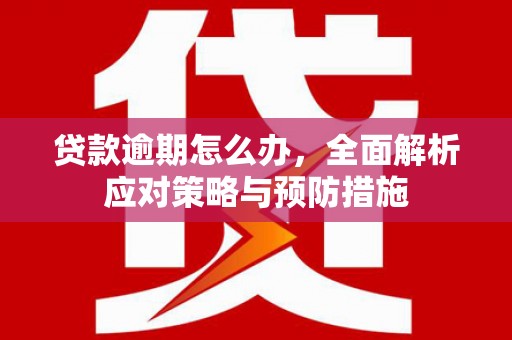 赣县贷款逾期怎么办，全面解析应对策略与预防措施