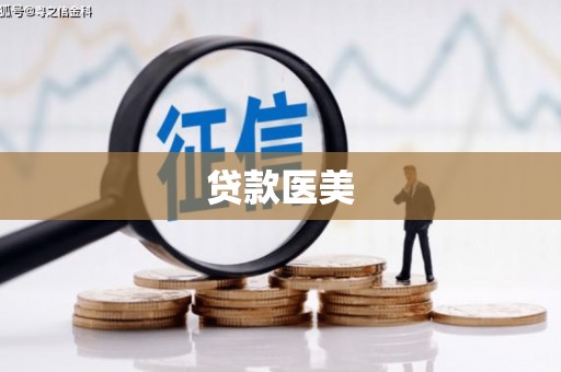 赣县贷款医美