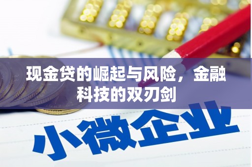 赣县现金贷的崛起与风险，金融科技的双刃剑