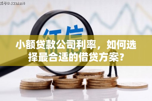 赣县小额贷款公司利率，如何选择最合适的借贷方案？
