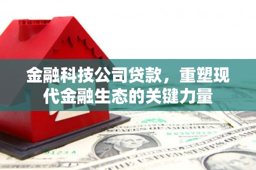 赣县金融科技公司贷款，重塑现代金融生态的关键力量
