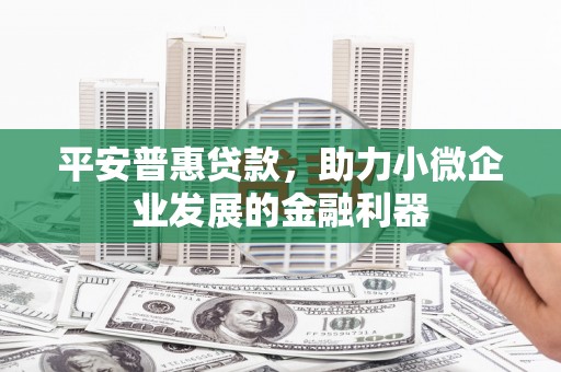 赣县平安普惠贷款，助力小微企业发展的金融利器