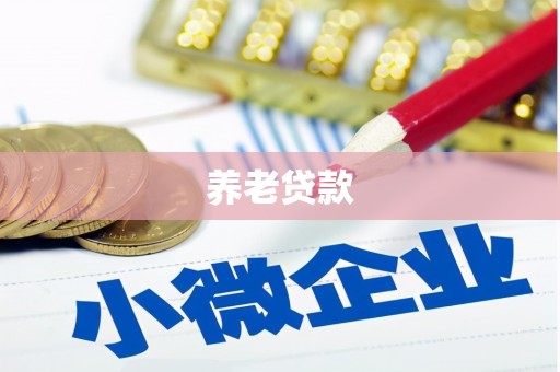 赣县养老贷款