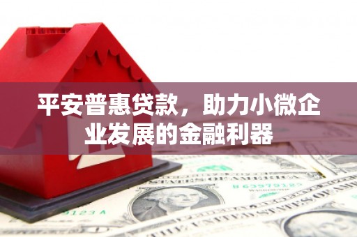 赣县平安普惠贷款，助力小微企业发展的金融利器