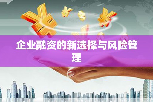 赣县企业融资的新选择与风险管理