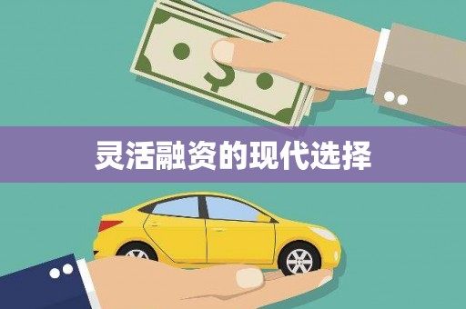 赣县灵活融资的现代选择