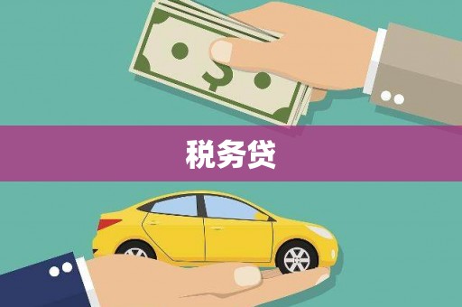 赣县税务贷