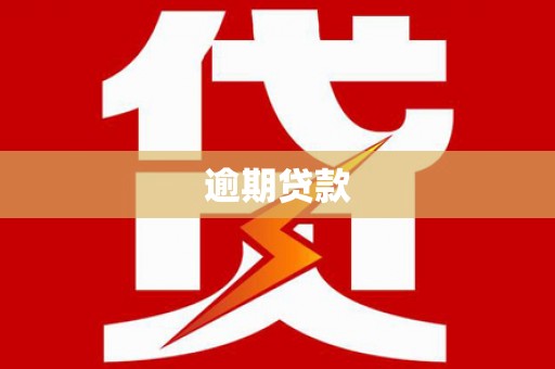 赣县逾期贷款