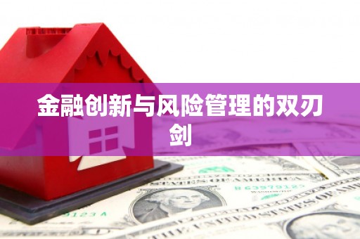 赣县金融创新与风险管理的双刃剑