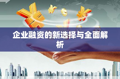 赣县企业融资的新选择与全面解析