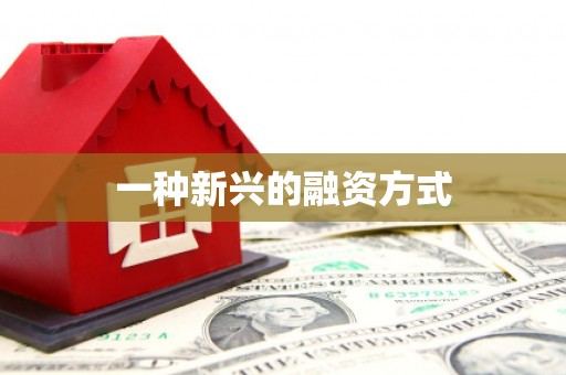 赣县一种新兴的融资方式