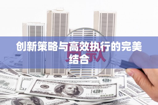 赣县创新策略与高效执行的完美结合