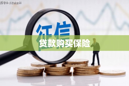 赣县贷款购买保险
