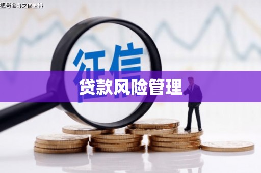 赣县贷款风险管理