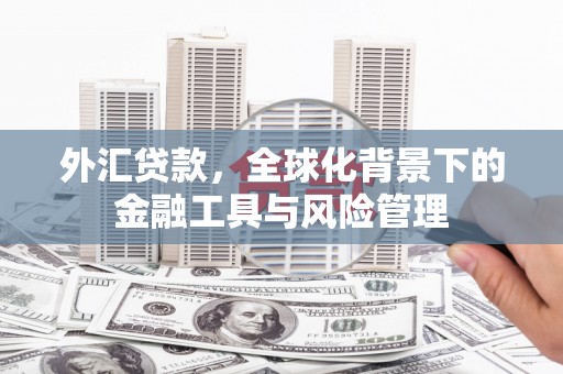 赣县外汇贷款，全球化背景下的金融工具与风险管理