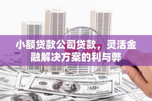 赣县小额贷款公司贷款，灵活金融解决方案的利与弊