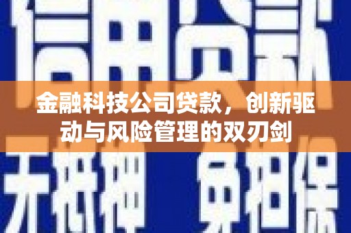 赣县金融科技公司贷款，创新驱动与风险管理的双刃剑